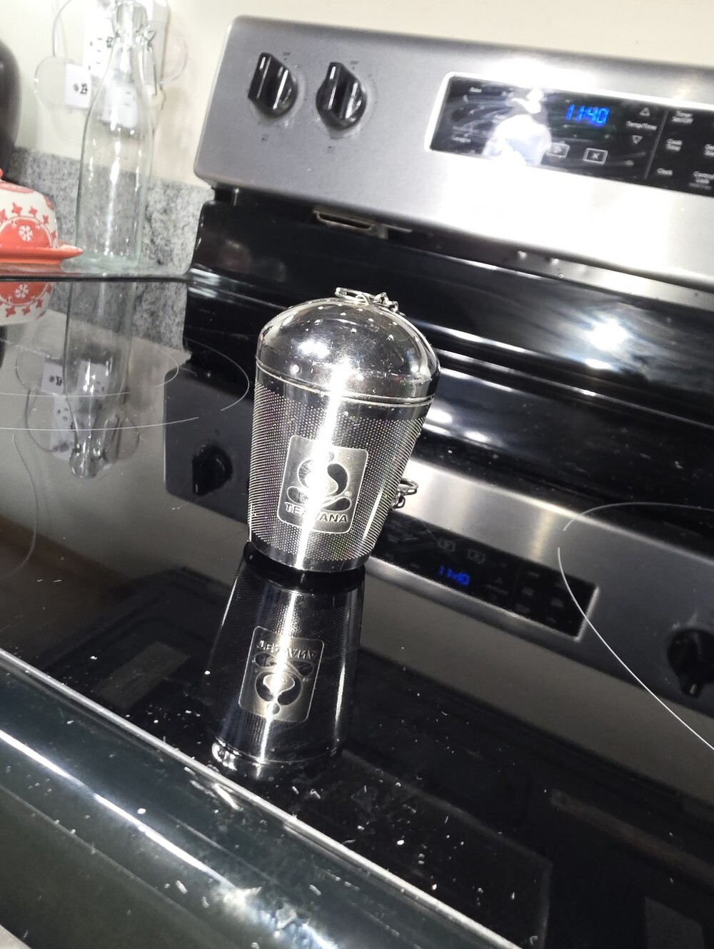 Teavana Silver Stainless Steel Tea Infuser with Chain